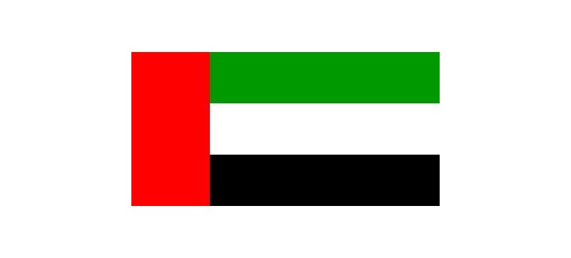 UAE flag icon
